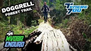 Doggrell Forest Trail Mini Adventure - MVDBR Enduro #297