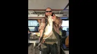 Nonstop Action- Offshore Sea Bass, Porgy, and Pollack- Captree Princess