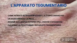 La salute dell'apparato tegumentario