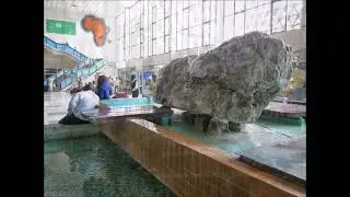 a0419
