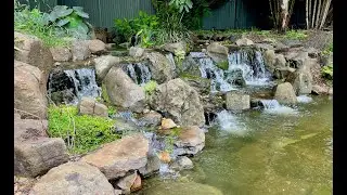 Transforming a Leaky Dam into an Aquatic Paradise