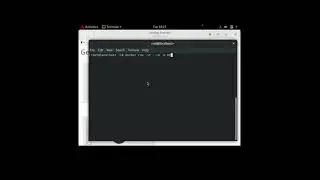 Using GUI Application on a Docker Container