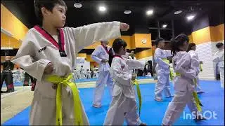 Performance Week Taekwondo 🥋 Yellow 🟡