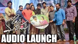 Oka Manasu Audio Launch || Naga Shaurya || Niharika Konidela || Rama Raju || Ram Charan | Allu Arjun
