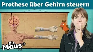 Stell dir vor … du könntest überall dran kommen | DieMaus | WDR