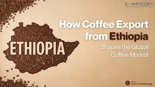 How Coffee Export from Ethiopia Shapes the Global Coffee Market