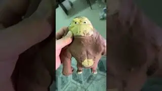 Обезьяна антистресс #monkey #monkeyvideo
