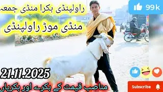 Bakra Mandi Friday Latest updates Mandi More Rawalpindi 21 November 2025.