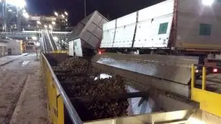 Zuccherificio di Pontelongo - Scarico laterale degli autotreni
