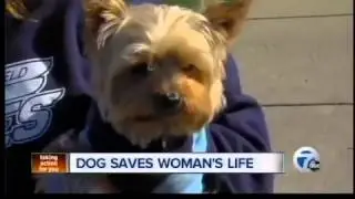 Dog save woman's life after alerting her to home fire
