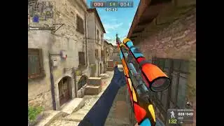 Funny video playing Point blank turkey.
