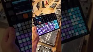 Polyend Play vs the competition #polyendplay #polyend #groovebox #synth #moogaudio #shorts