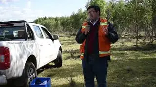 Dia de Campo Forestal Zona Sureste - Silvicultura en empresa FAS