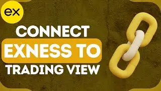 How To Connect Exness To TradingView (Full 2024 Guide)