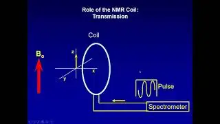 MR Coil Design Principles