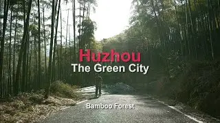 Huzhou: The Green City - Bamboo Forest