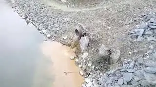 Слив стоков в р. Ушайка г. Томск