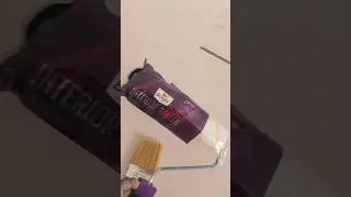 berger paint roller#shortvideo #berger