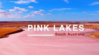 Pink Lakes in South Australia: Nature's Pastel Wonders | Australia Travel Guilde (Drone)