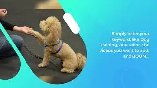 Flixter Pro Video Streaming Platform Software -- How you can Stream on Your Own Channel like Netflix