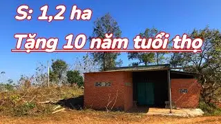 💥💥 Kẹt tiền! Bán 12.000 m đất vườn, ao to, view thông bao quanh, gần trường cấp 1,2,3, chợ, QL14A
