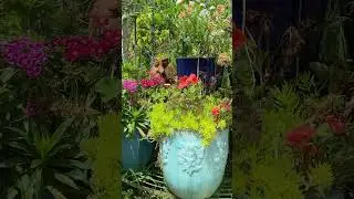 A Vibrant Garden Escape | Rakai&rsquo;s Beautiful Retreat