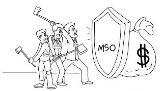 What is a Management Services Organization (MSO)