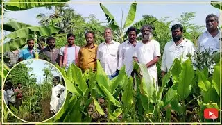 💲🤑 &ldquo;ఎకరానికి ₹3 లక్షల ఆదాయం ఇస్తున్న 5 layer Natural Farming Model | Live Proof by Vijay Ram&rdquo;