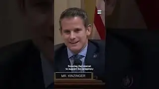 Trump Turned to Outlandish Election Fraud Conspiracies, Kinzinger Says