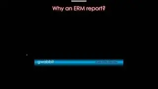 gwabbit webinar - Power ERM Reports