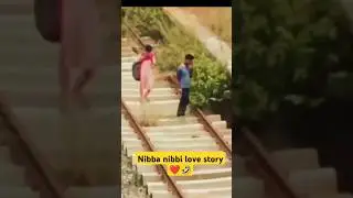 Nibba nibbi love story ❤🤣   #funny #comedy #explore #youtube #shortsfeed #viral #telugu #nibbanibbi