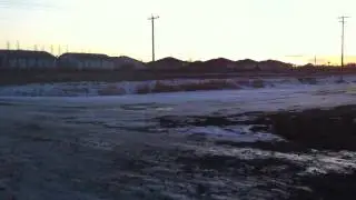 1000 Arctic cat banshee
