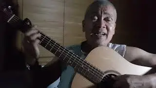 Alfie cover
