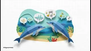 Top 5 Dolphin Facts Jo Aap Nahi Jaante #dolphin  #seaanimals
