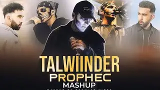Talwinder X The PropheC &ndash; Feel Mashup | Tu &times; Manave &times; Haseen | Romantic Chill Vibe Mix 2025