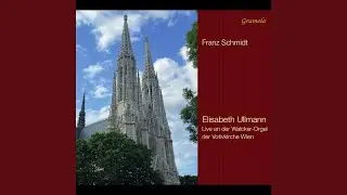 Variations & Fugue on an Original Theme (Live)