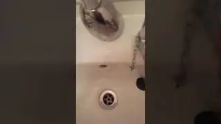 Cotton candy vs water