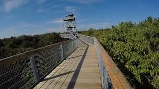 Baumkronenpfad Beelitz-Heilst&auml;tten #Trip 1