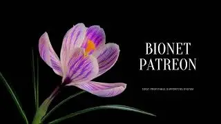 Welcome to Bionet Patreon! First profitable supporting system