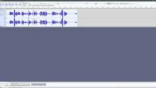 [Tutorial]Ghost Voice in Audactiy