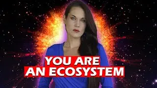 How to Get Enlightened - See Yourself as an Ecosystem - Teal Swan