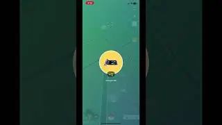 Pok&eacute;mon Showcase Platinum Medal