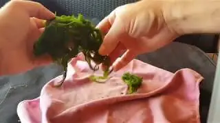 Pecanje na travu - pravljenje sistema za travu.