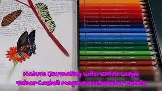 Faber-Castell Albrecht Durer Magnus Watercolor Pencils Review and Nature Journaling