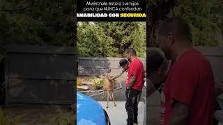 NUNCA CONFUNDAS AMABILIDAD CON SEGURIDAD  #rap #doblecara #musica #alexboryrd #viralvideo
