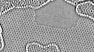 Atoms in Action
