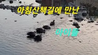 아침산책길에 만난 아이들 