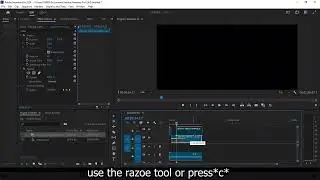 HOW TO CUT AND EDIT VIDEOS IN PREMIERE PRO- A minute clip