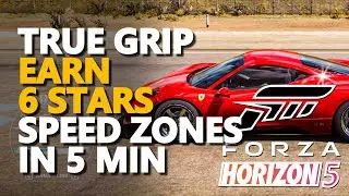 True Grip Forza Horizon 5