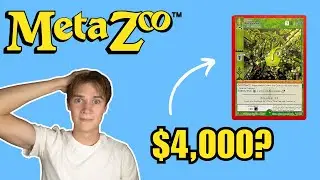 Meta Who? What is Metazoo?